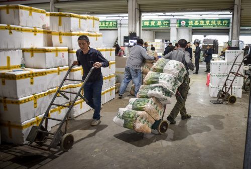 2月16日，在深圳海吉星批發市場，工人在搬運蔬菜。據深圳最大的蔬菜批發企業——海吉星國際農産品物流管理有限公司介紹，深圳一級市場的葉菜價格從春節期間的高位開始回落，菜心、香菜等部分蔬菜價格已恢復到節前水平。2016年1月下旬的寒潮讓廣東部分地區的蔬菜收穫不足；加上春節前後人工費用增長等因素，深圳葉菜價格在春節期間出現大幅上漲，一級市場部分葉菜上漲約50%，終端市場出現葉菜價格翻倍現象。新華社記者 毛思倩 攝