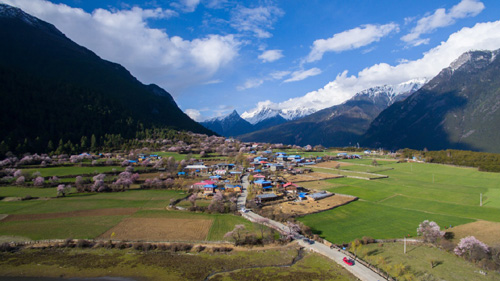 這是4月1日在西藏波密縣境內拍攝的美景。