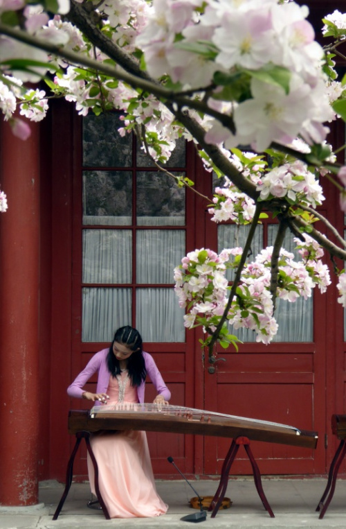 4月6日，一名演員在宋慶齡故居為遊人演奏古箏。新華社記者 李明放 攝