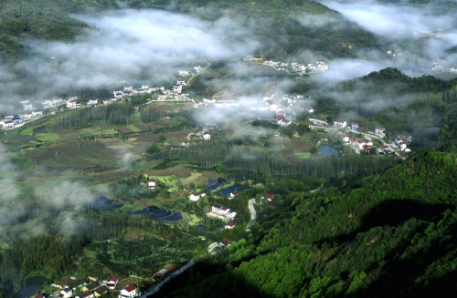 俯瞰雲霧繚繞的霍山縣東西溪鄉山村（4月8日攝）。新華社發（汪寶 攝）
