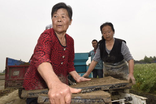 4月13日，和興鎮國防村的農民在使用育秧盤培育水稻種子。